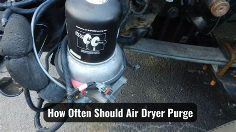 How Often Should Air Dryer Purge